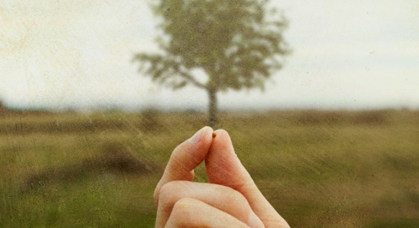 The Parables of Jesus